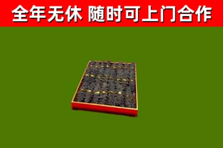 通州回收海参